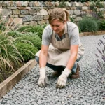 Femme qui étale du gravier décoratif gris dans une allée de jardin entourée de lavande et de graminées ornementales